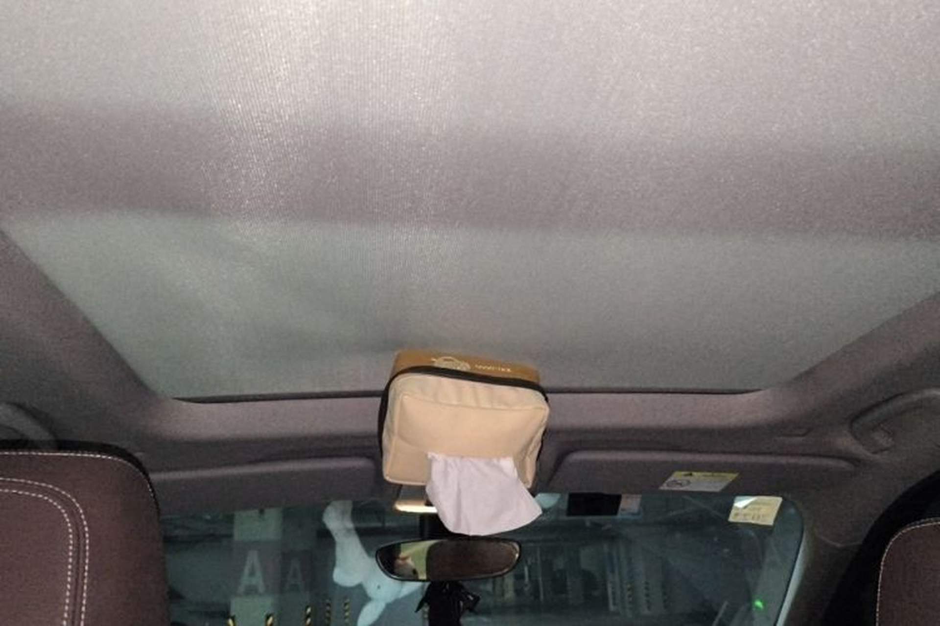 Used BMW X1 2021 sDrive25Li Leading Model Headliner