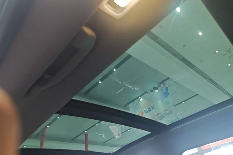 Used BMW X1 2021 sDrive20Li Premium Edition Headliner