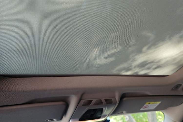 Used BMW X1 2021 sDrive20Li Premium Edition Headliner
