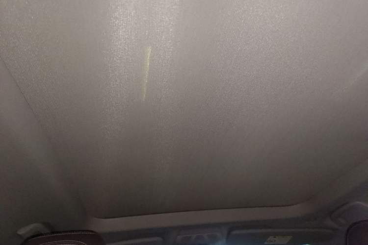 Used BMW X1 2021 sDrive25Li Leading Model Headliner