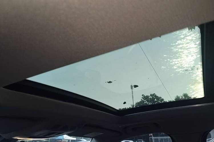 Used BMW X1 2021 sDrive25Li Leading Model Headliner