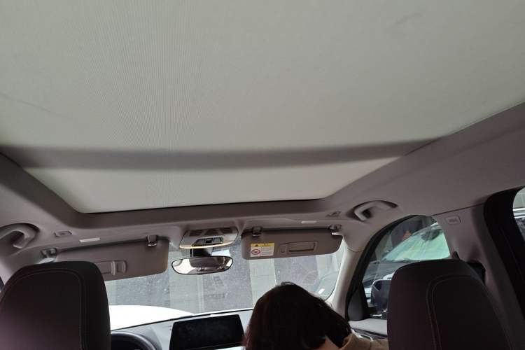 Used BMW X1 2021 sDrive25Li Leading Model Headliner