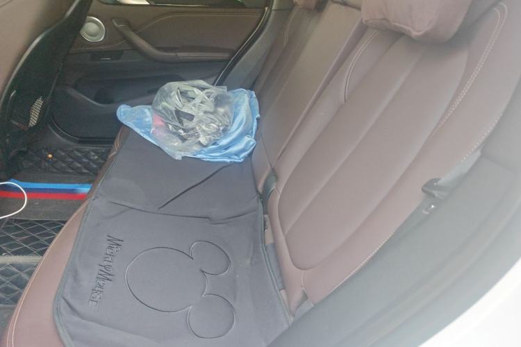 Used BMW X1 2021 sDrive20Li Premium Edition Left Rear Seat