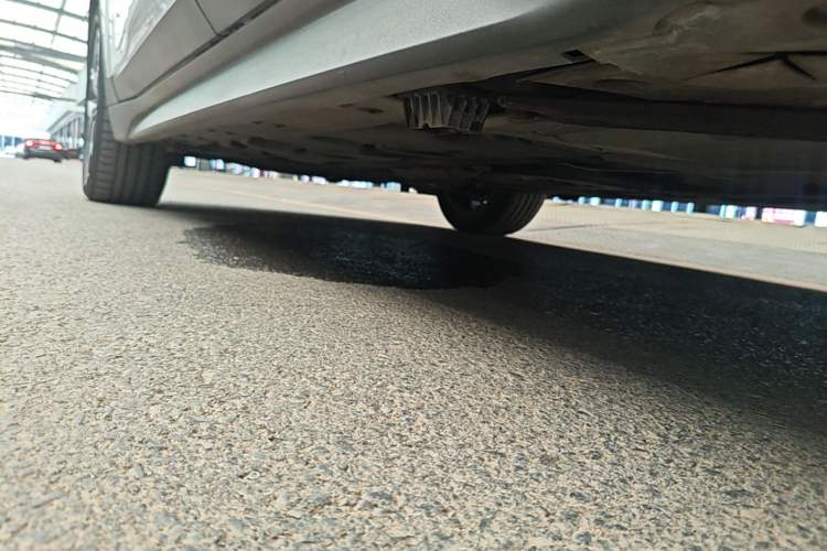 Used BMW X1 2021 Restyled sDrive25Li Leading Edition Left Side Sill