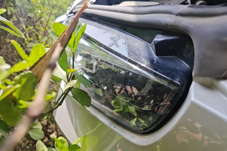 Used BMW X1 2021 sDrive20Li Fashion Model Right Front Headlight