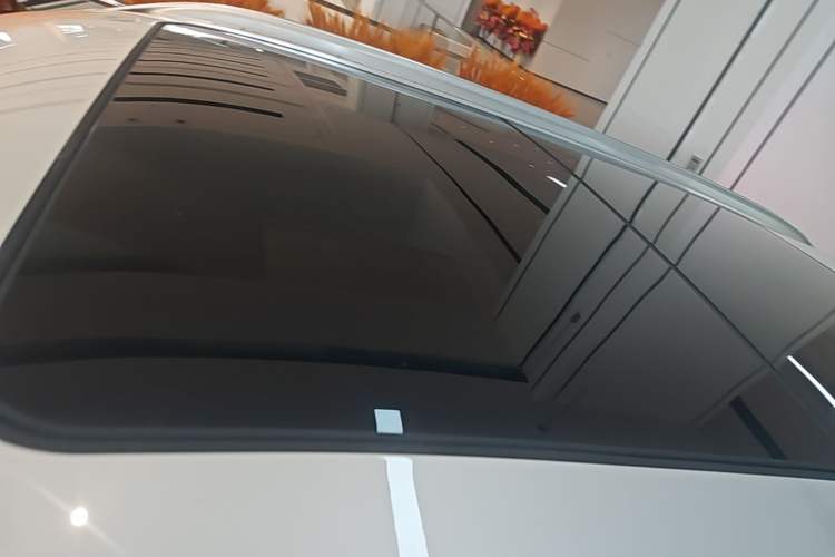 Used BMW X1 2021 sDrive25Li Leading Model Roof