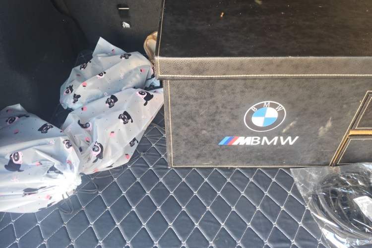 Used BMW X1 2021 sDrive20Li Fashion Model Trunk