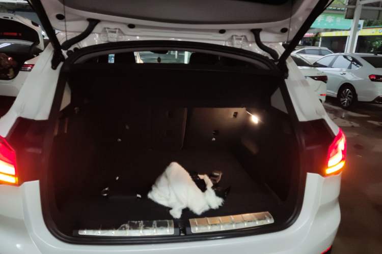 Used BMW X1 2021 Restyled sDrive25Li Leading Edition Trunk