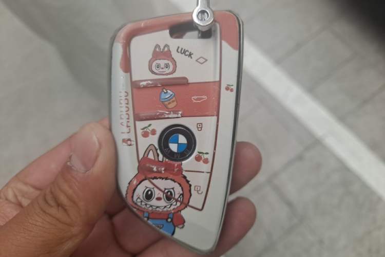 Used BMW X1 2021 Restyled sDrive20Li Fashion Version Vehicle Key