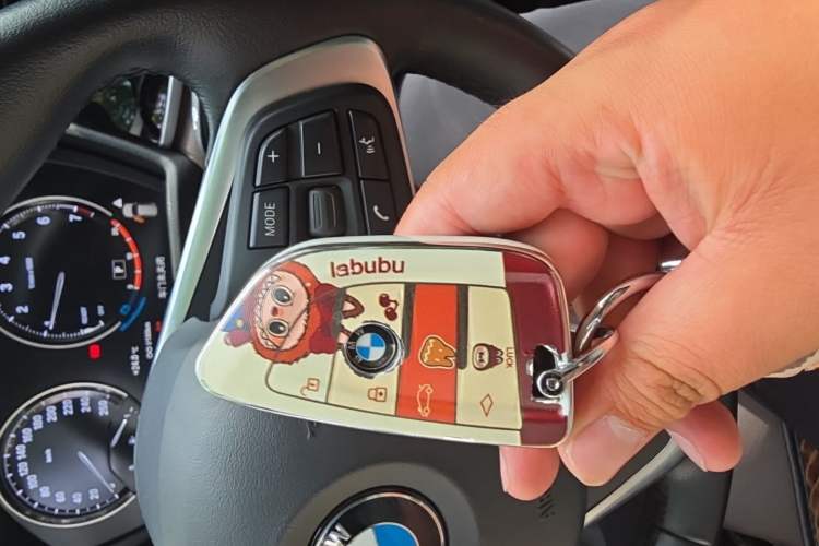Used BMW X1 2021 Restyled sDrive20Li Fashion Version Vehicle Key