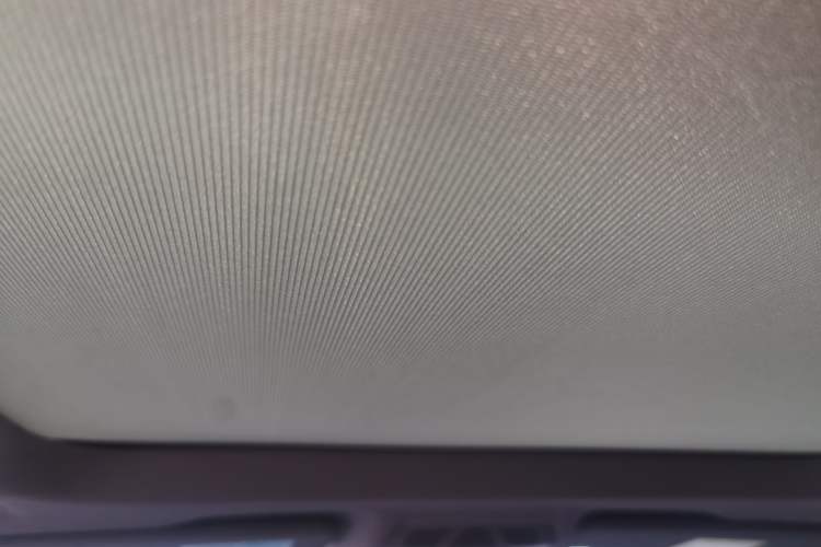 Used BMW X1 2022 sDrive20Li Luxury Model Headliner