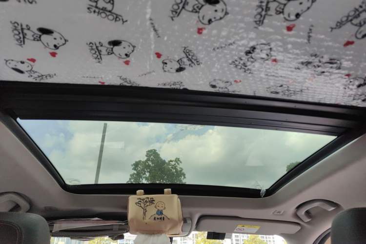 Used BMW X1 2022 sDrive25Li Leading Model Headliner