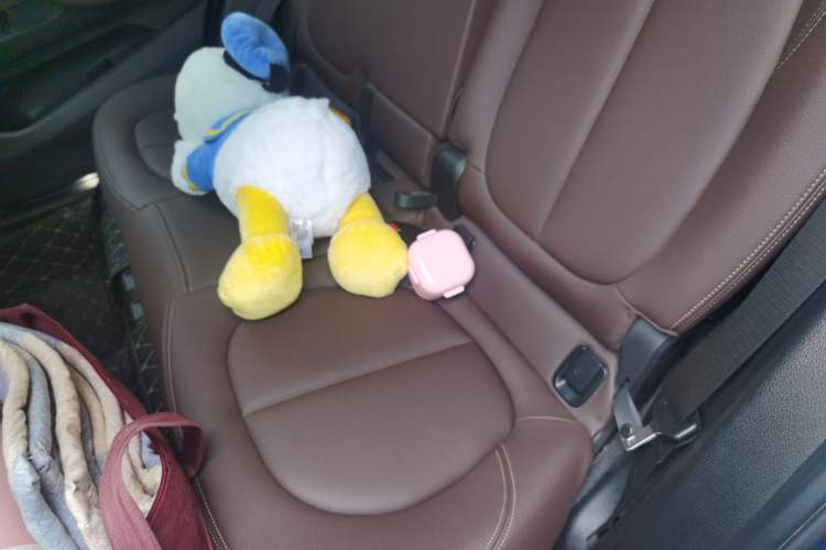 Used BMW X1 2022 sDrive20Li Luxury Model Left Rear Seat