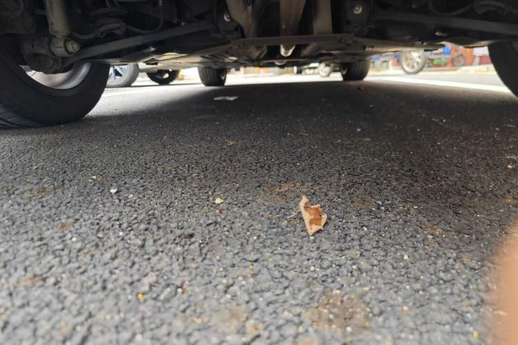 Used BMW X1 2022 sDrive25Li Leading Model Chassis Rear