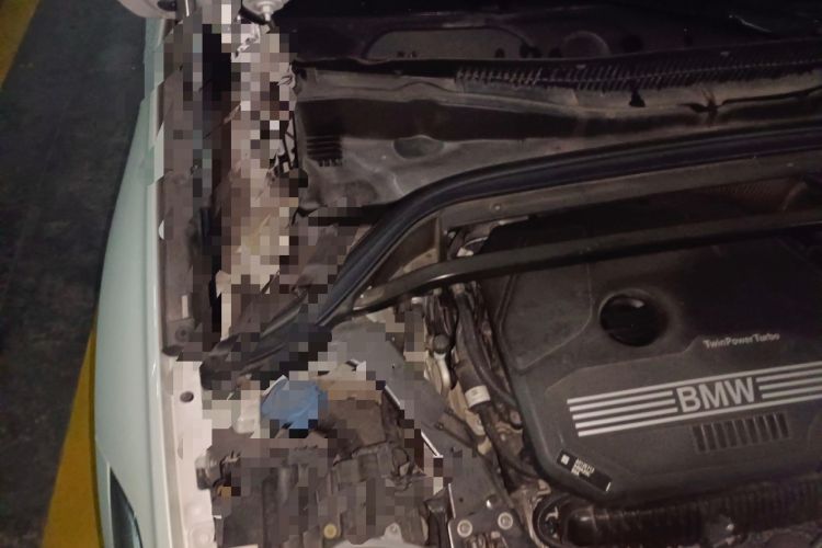 Used BMW X1 2022 sDrive25Li Leading Model Engine Bay Right