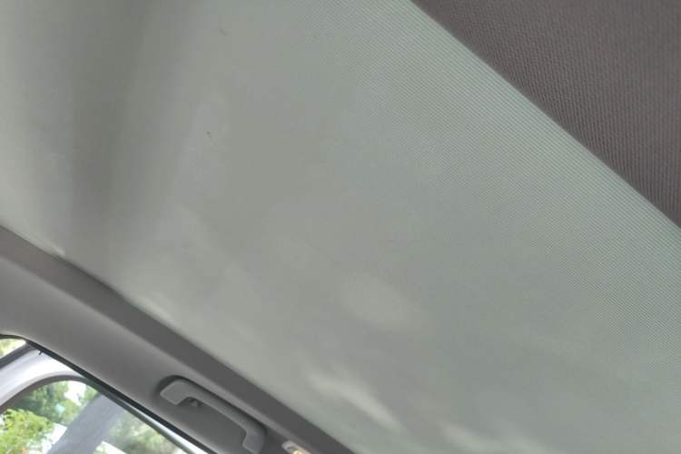 Used BMW X1 2022 sDrive25Li Leading Model Headliner