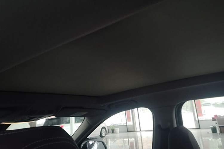 Used BMW X1 2022 sDrive25Li Leading Model Headliner