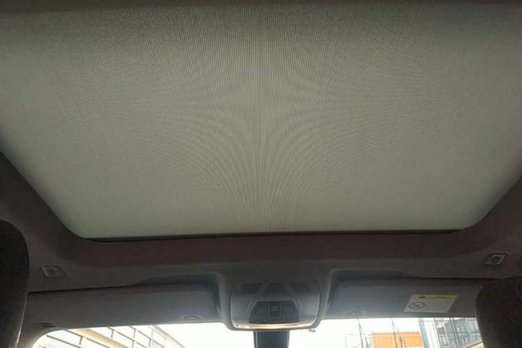Used BMW X1 2022 sDrive20Li Luxury Model Headliner