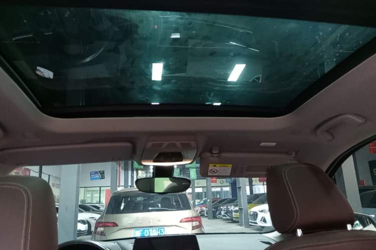 Used BMW X1 2022 sDrive20Li Luxury Model Headliner