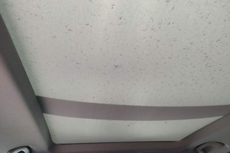 Used BMW X1 2022 sDrive25Li Leading Model Headliner