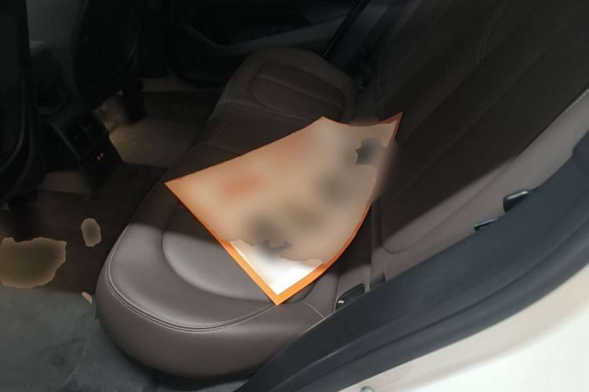 Used BMW X1 2022 sDrive25Li Leading Model Left Rear Seat