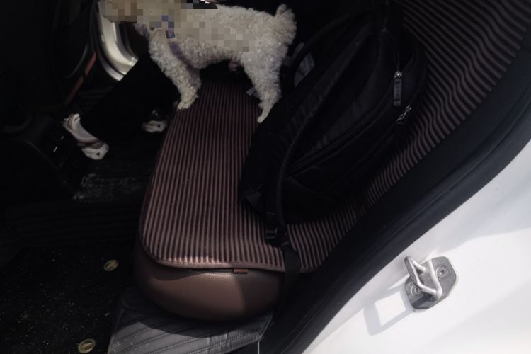 Used BMW X1 2022 sDrive25Li Leading Model Left Rear Seat