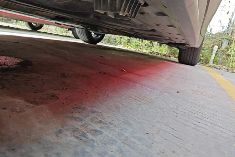 Used BMW X1 2022 sDrive25Li Leading Model Left Side Sill