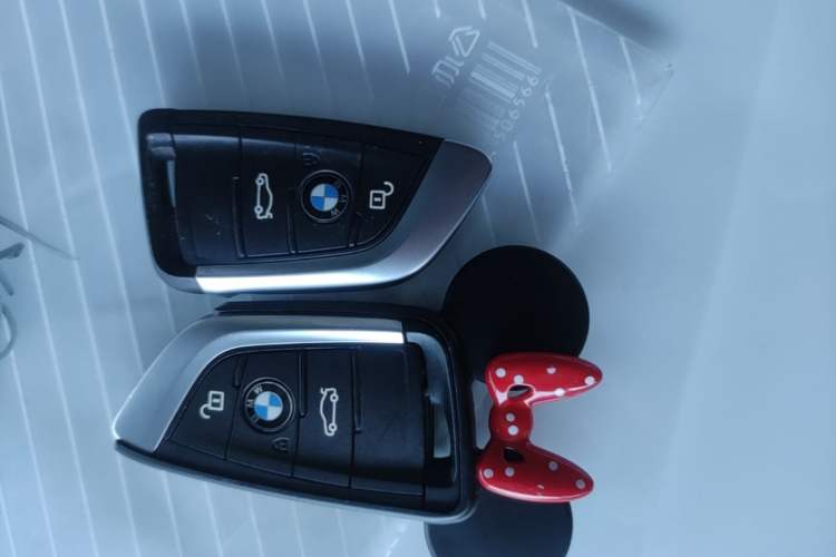 Used BMW X1 2022 sDrive25Li Leading Model Vehicle Key