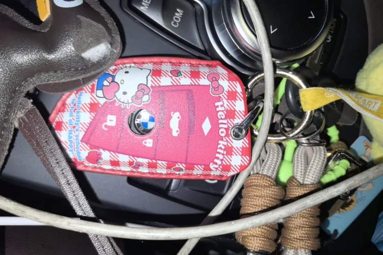 Used BMW X1 2022 sDrive20Li Fashion Model Vehicle Key