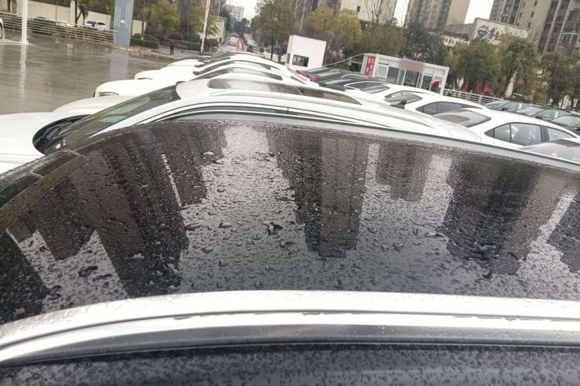 Used BMW X1 2023 sDrive25Li X Design Package Roof