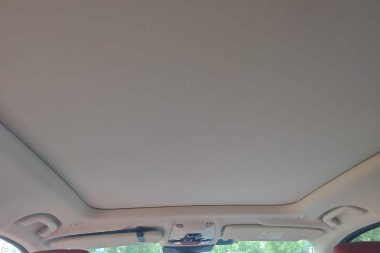 Used BMW X1 2023 sDrive25Li X Design Package Headliner