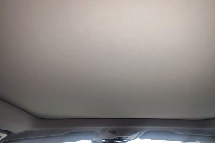 Used BMW X1 2023 sDrive20Li X Design Package Headliner