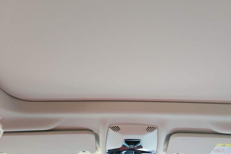 Used BMW X1 2023 sDrive20Li X Design Package Headliner