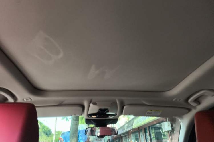 Used BMW X1 2023 sDrive20Li X Design Package Headliner