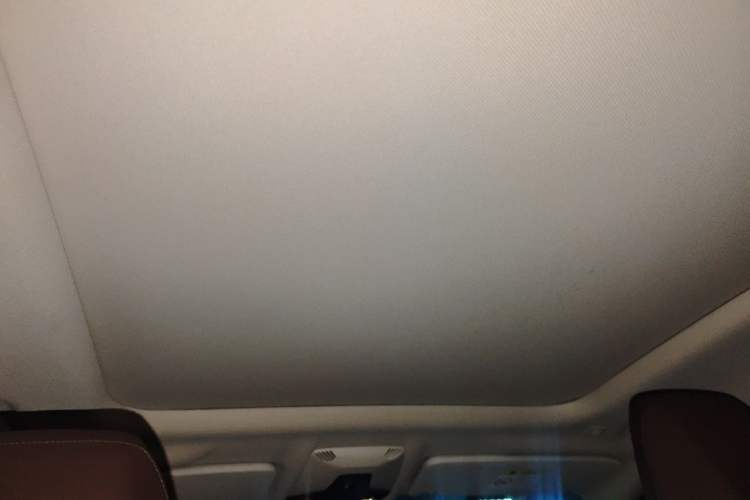 Used BMW X1 2023 sDrive20Li X Design Package Headliner
