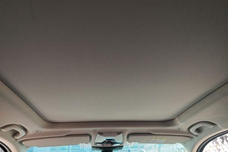 Used BMW X1 2023 sDrive20Li X Design Package Headliner