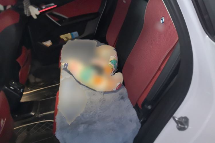 Used BMW X1 2023 sDrive25Li X Design Package Left Rear Seat