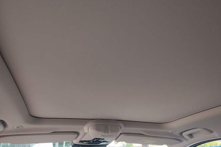 Used BMW X1 2024 sDrive25Li X Design Package Headliner