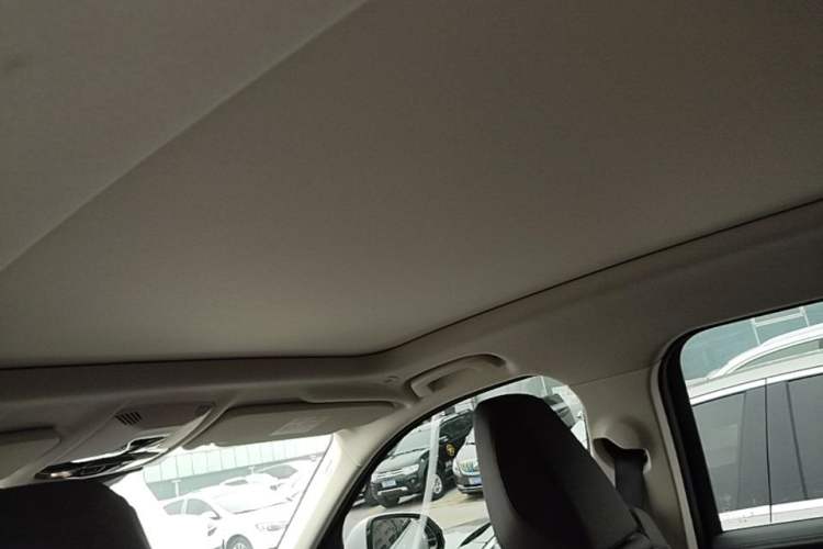 Used BMW X1 2024 sDrive25Li X Design Package Headliner