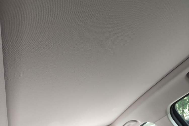 Used BMW X1 2024 xDrive25Li X Design Package Headliner