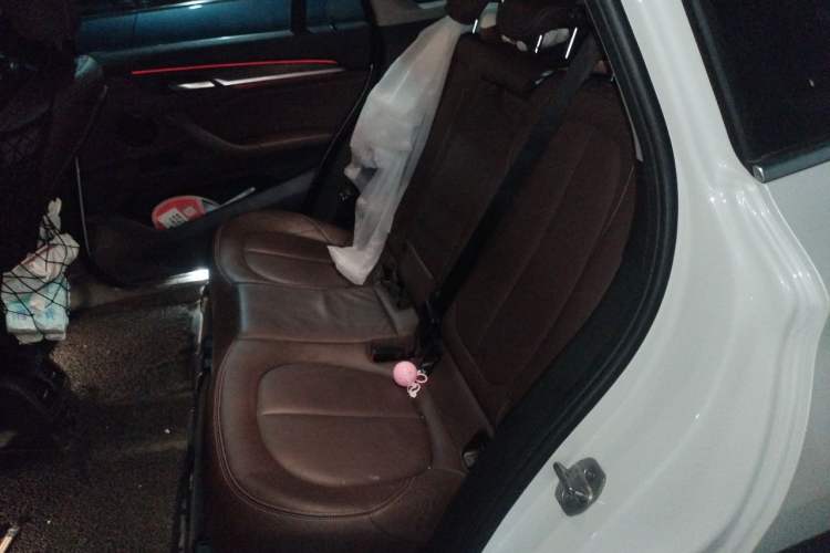 Used BMW X1 New Energy 2017 xDrive25Le Left Rear Seat