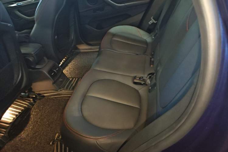 Used BMW X1 New Energy 2018 xDrive25Le Luxury Model Left Rear Seat