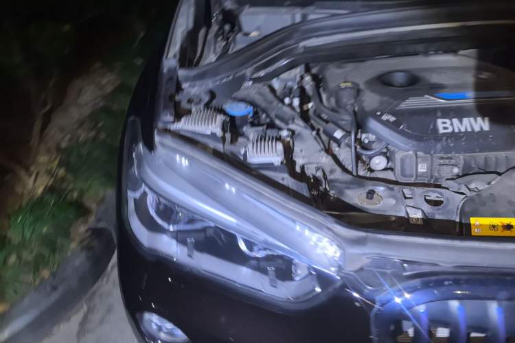 Used BMW X1 New Energy 2018 xDrive25Le Luxury Model Engine Bay Right