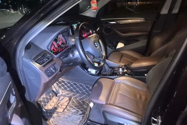 Used BMW X1 New Energy 2018 xDrive25Le Luxury Model Left Front Seat