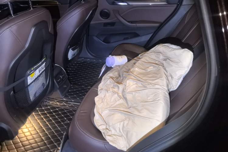 Used BMW X1 New Energy 2018 xDrive25Le Luxury Model Left Rear Seat