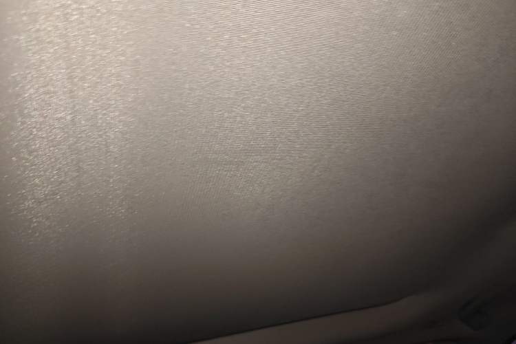 Used BMW X1 New Energy 2018 xDrive25Le Luxury Model Headliner