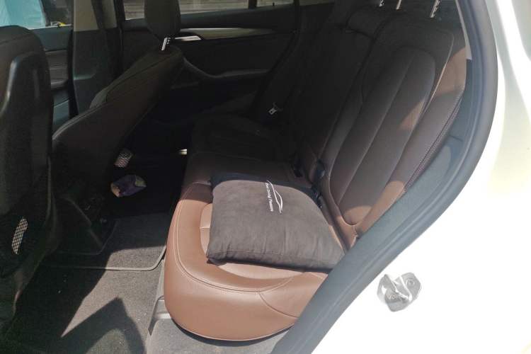 Used BMW X1 New Energy 2018 xDrive25Le Luxury Model Left Rear Seat