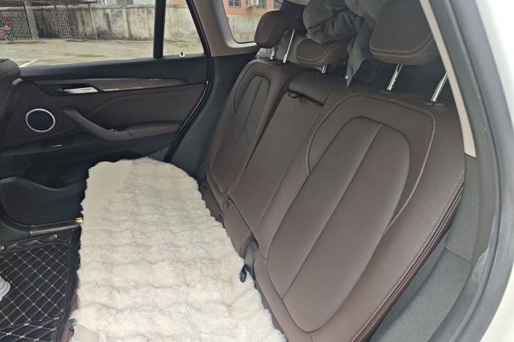 Used BMW X1 New Energy 2018 xDrive25Le Luxury Model Left Rear Seat