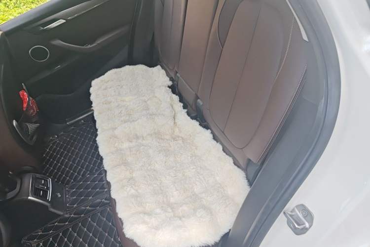 Used BMW X1 New Energy 2018 xDrive25Le Luxury Model Left Rear Seat
