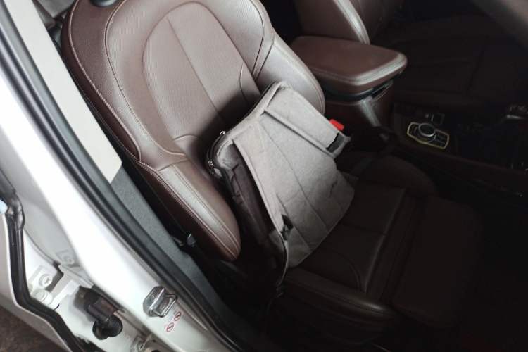Used BMW X1 New Energy 2018 xDrive25Le Luxury Model Right Front Seat